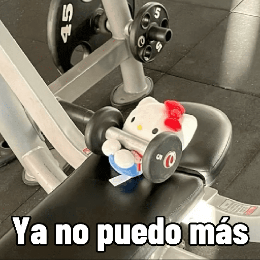 Pal gym 💪🏻🏋🏻 preview