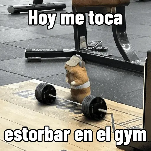 Pal gym 💪🏻🏋🏻