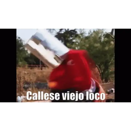 31 minutos