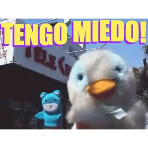 31 minutos