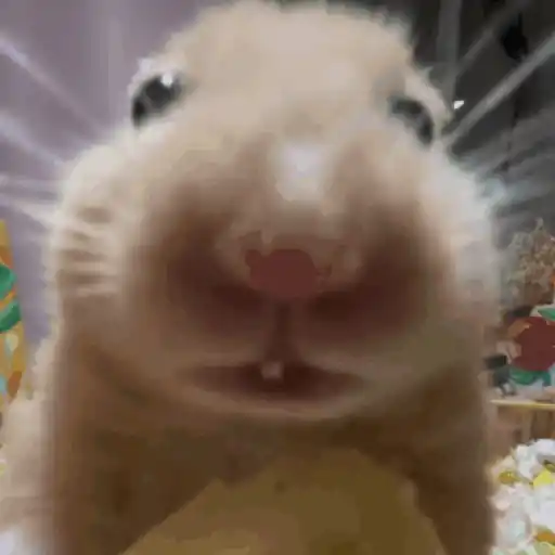 Ratita - Hamster en movimiento preview