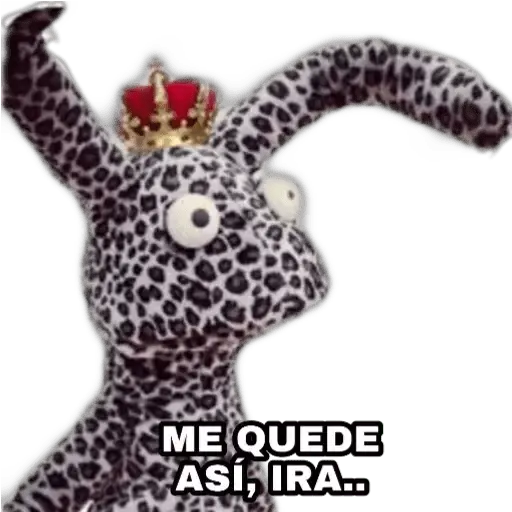 31 minutos