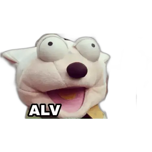31 minutos
