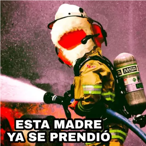 31 minutos