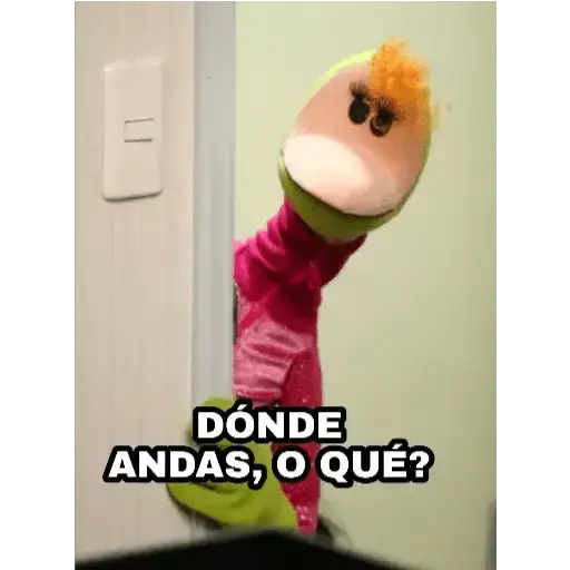 31 minutos