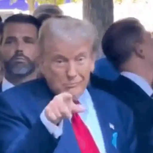 Trump 🇺🇸 preview