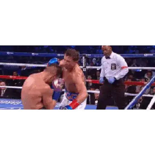 CANELO ALVAREZ 🥊🥊 preview