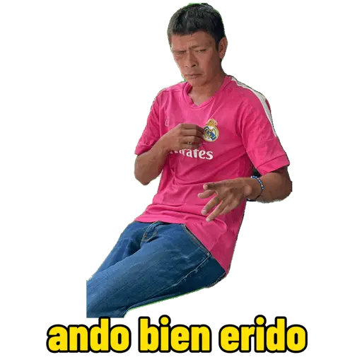 Creador de stickers 