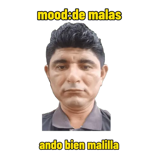 Creador de stickers 