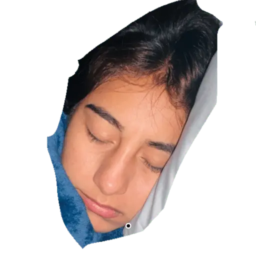 Creador de stickers 
