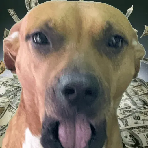 Creador de stickers 