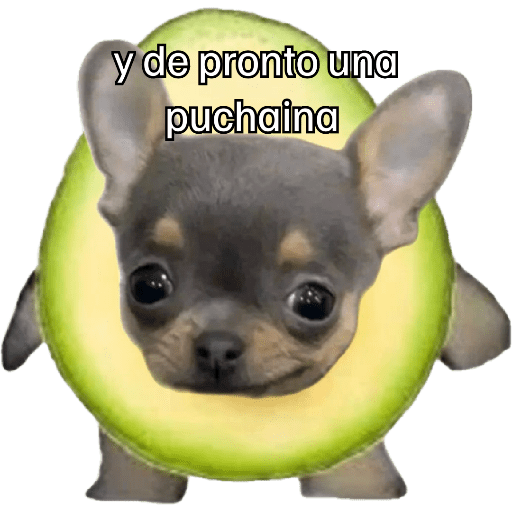 y de pronto una puchaina 🥑 preview