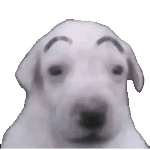 Chupalamiamor