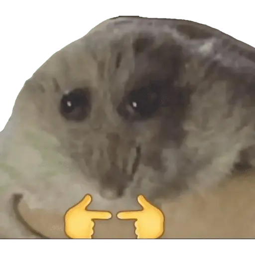 Chupalamiamor