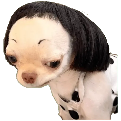Chupalamiamor