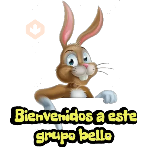 Conejitos 🐰❤️ sticker 15