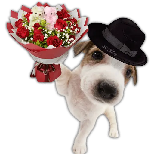 Ramos 💐Para ti Amor❤️ 🐝