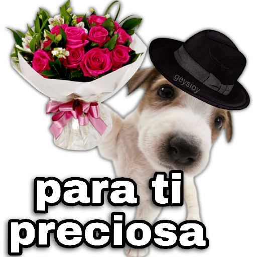Ramos 💐Para ti Amor❤️ 🐝 preview