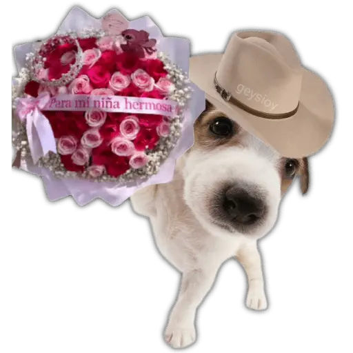Ramos 💐Para ti Amor❤️ 🐝
