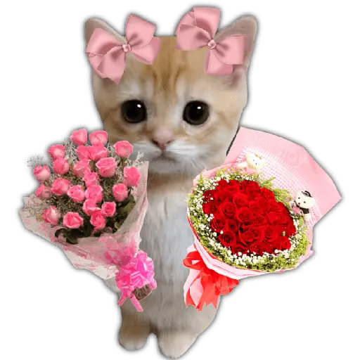 Ramos 💐Para ti Amor❤️ 🐝