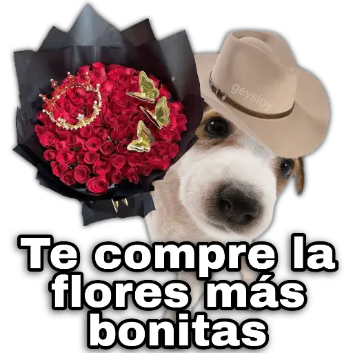 Ramos 💐Para ti Amor❤️ 🐝