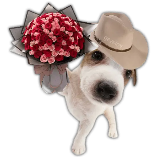 Ramos 💐Para ti Amor❤️ 🐝