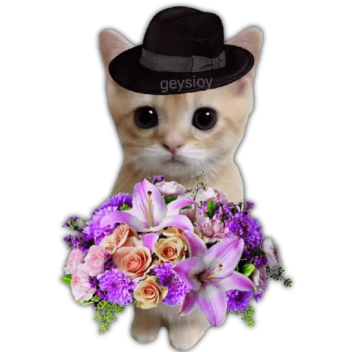Ramos 💐Para ti Amor❤️ 🐝