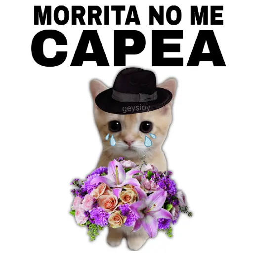 Ramos 💐Para ti Amor❤️ 🐝