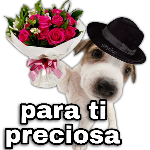Ramos 💐Para ti Amor❤️ 🐝