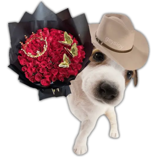 Ramos 💐Para ti Amor❤️ 🐝