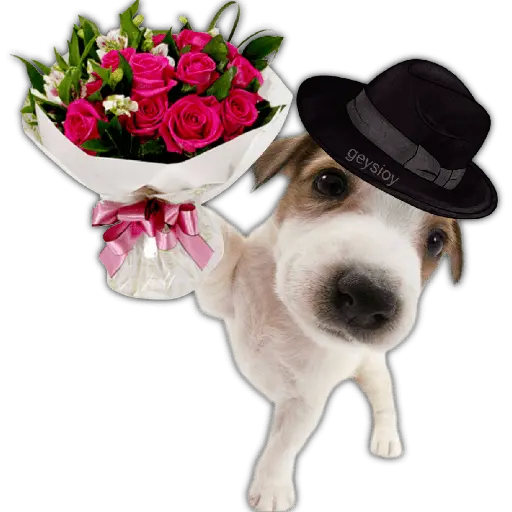 Ramos 💐Para ti Amor❤️ 🐝