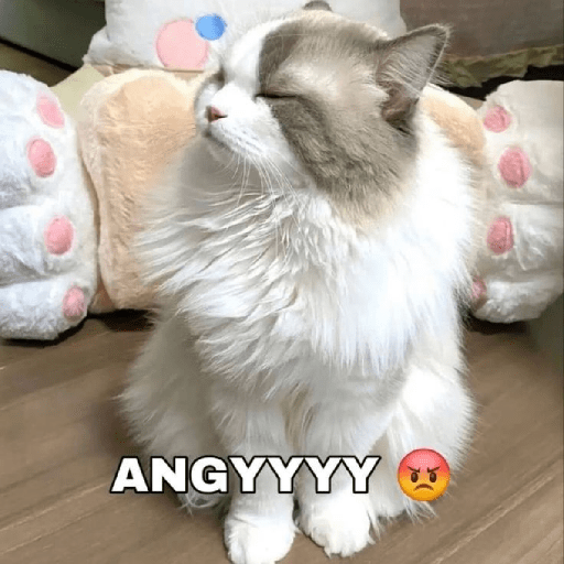 Meme Ngambek #2 preview