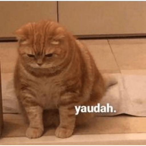 Meme Ngambek #2 preview