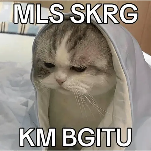Meme Ngambek #2