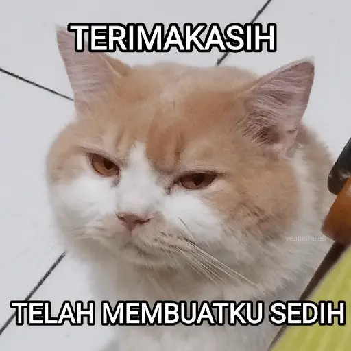 Meme Ngambek #2