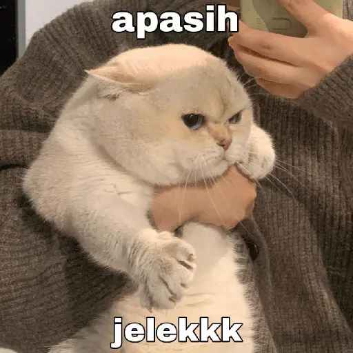 Meme Ngambek #2