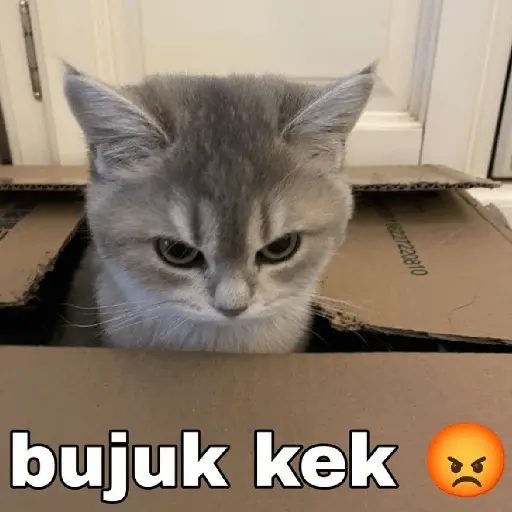 Meme Ngambek #2