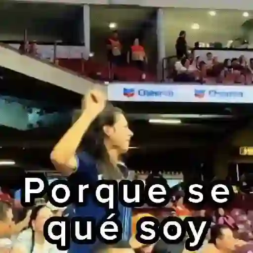 🎙️Todos me miran 🎶Trevi