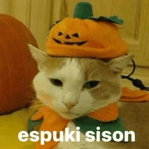 👻 HALLOWEEN MOODS 👻 sticker 11