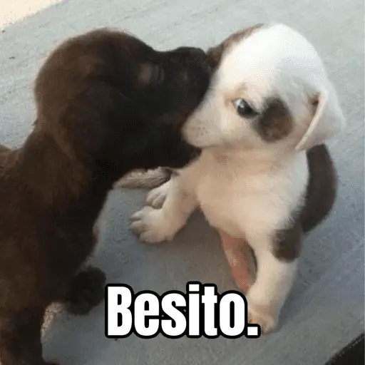Amorcito para el chat ❤️