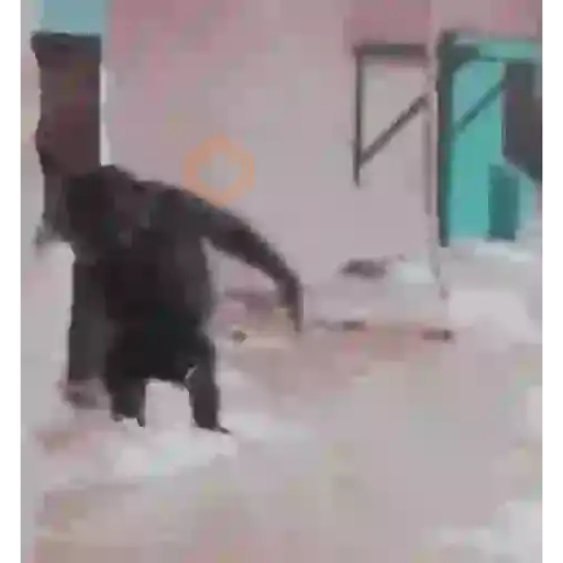 Monito bailando 🐒 sticker 16