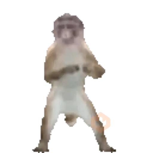 Monito bailando 🐒 sticker 15