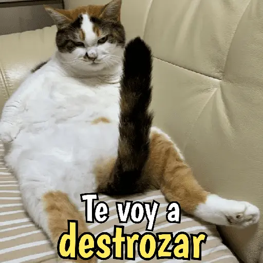 Gatos y gatitos hornys 🥵🔥