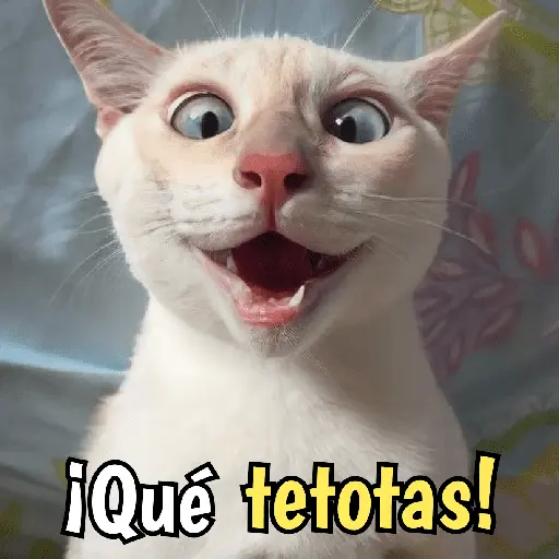 Gatos y gatitos hornys 🥵🔥