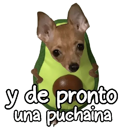y de pronto una puchaina 🎶🥑