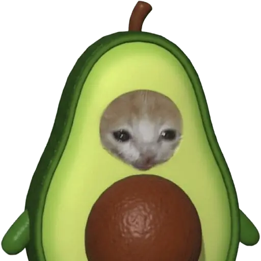 y de pronto una puchaina 🎶🥑