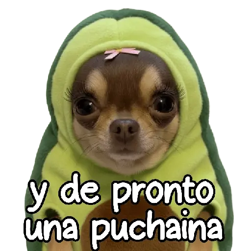 y de pronto una puchaina 🎶🥑