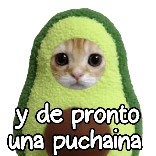 y de pronto una puchaina 🎶🥑