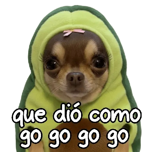 y de pronto una puchaina 🎶🥑