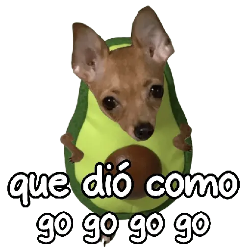 y de pronto una puchaina 🎶🥑